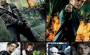 Meet your Posher, Rosie